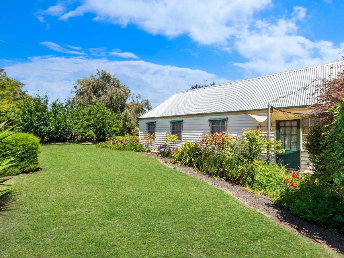 Lavender Port Fairy
